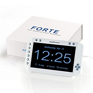 Screaming Meanie Forte Alarm Clock - Extra Large 9” Display