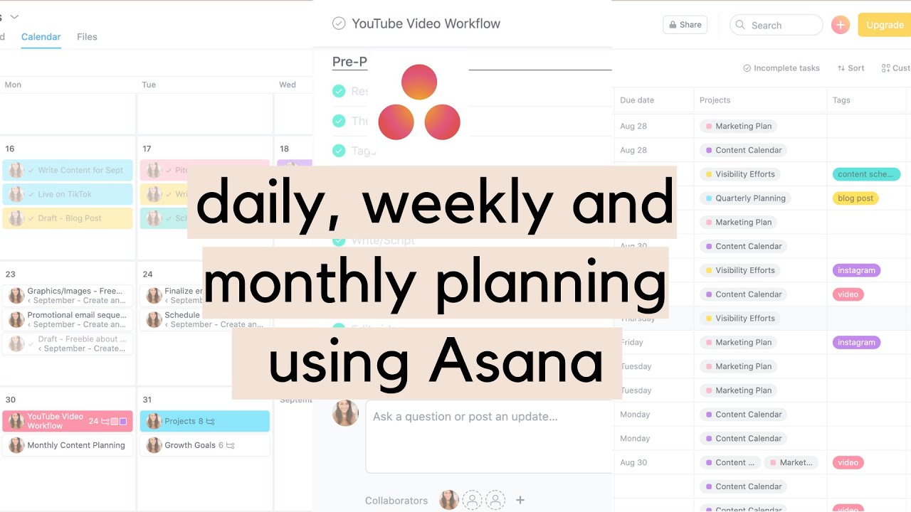 Asana Project Management Tool Plans